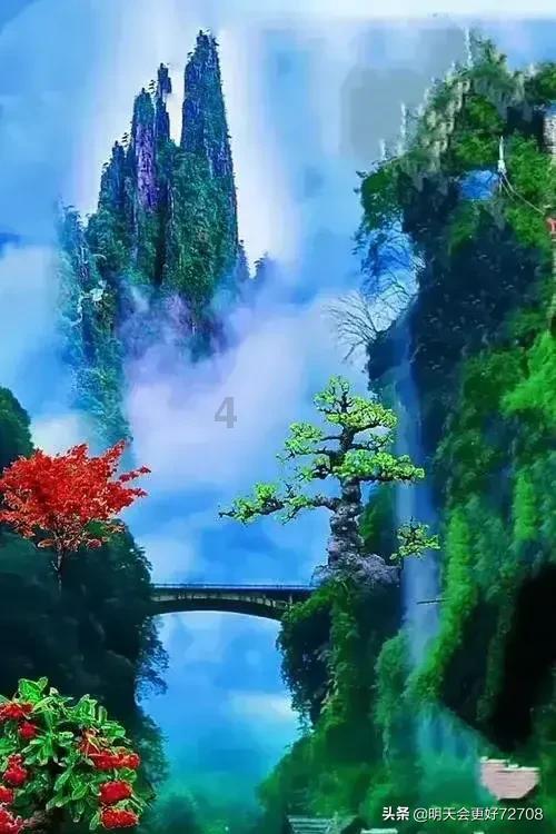 蝴蝶领结