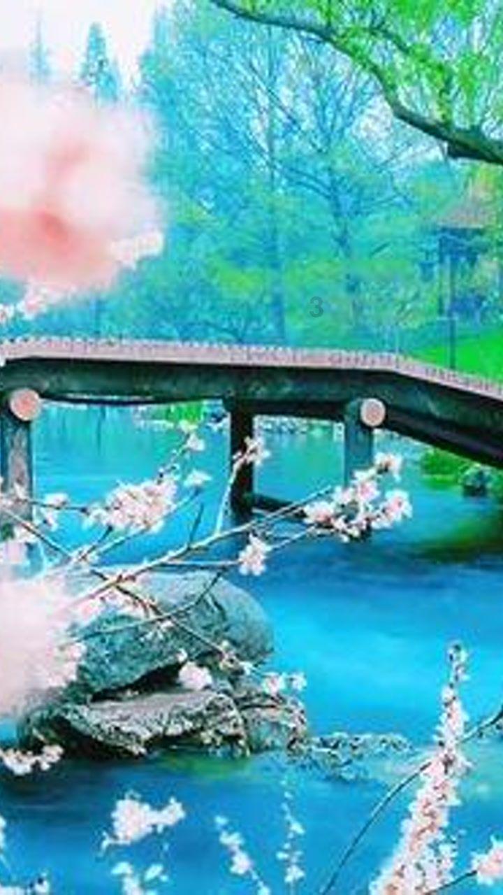 海口吾悦 | 茶乙己低卡推荐：【玉兰观音】